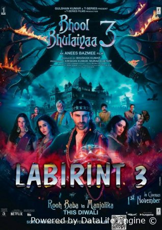 Labirint 3 / Bhool Bhulaiyaa 3 Hind kino Uzbek tilida (2024) O'zbekcha tarjima kino Full HD skachat